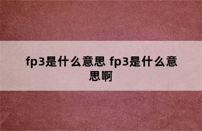 fp3是什么意思 fp3是什么意思啊